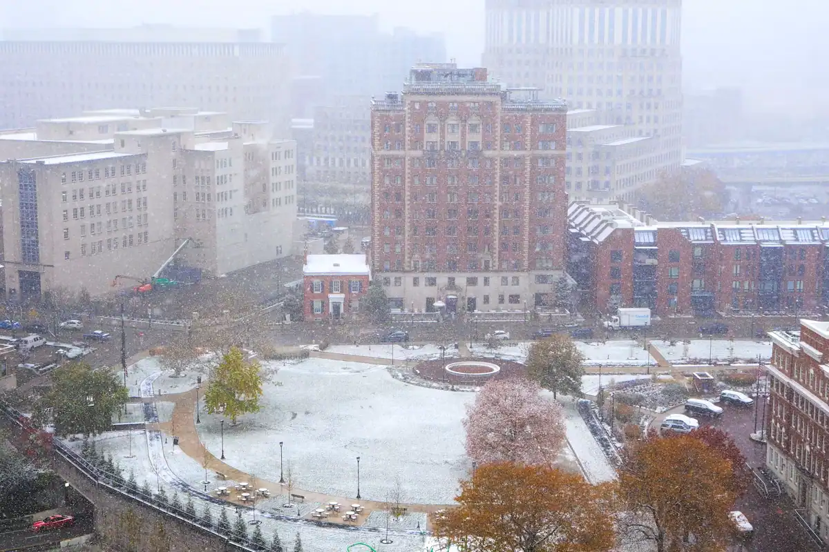 Snow falling over a city park with buildings behind the bare trees
