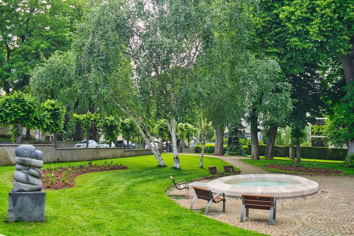 A green park with birch trees, a fountain and a sculpture on the lawn