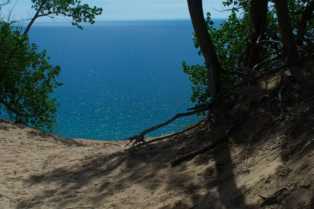 A sandy dune with scattered trees looking out over a wide blue lake