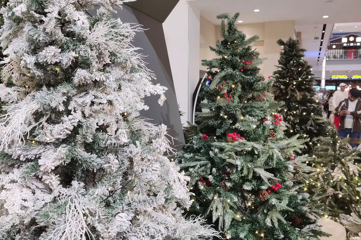 Decorated Christmas trees with warm lights arranged indoors in a display hall
