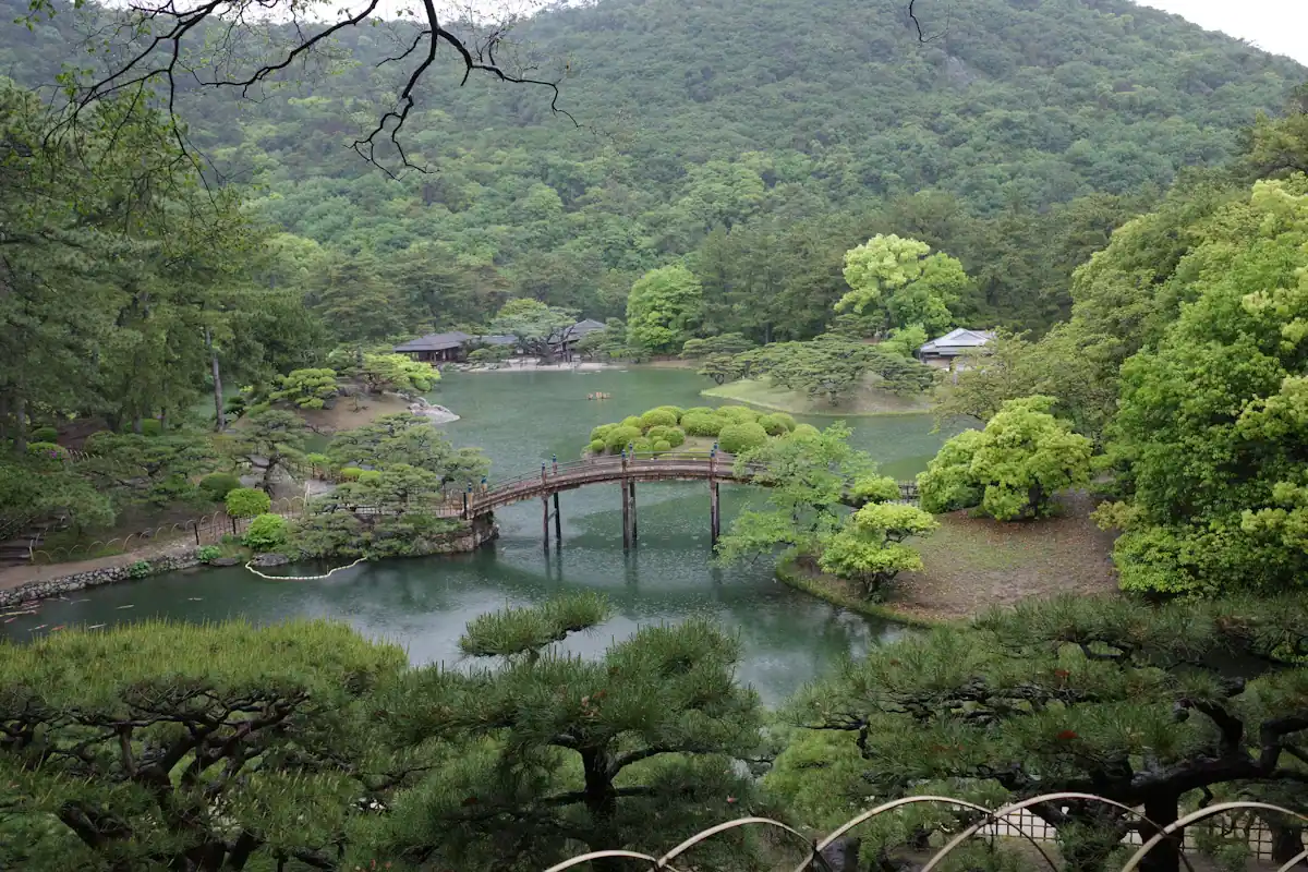 A timber bridge crossing a still pond in a Japanese garden surrounded by green trees