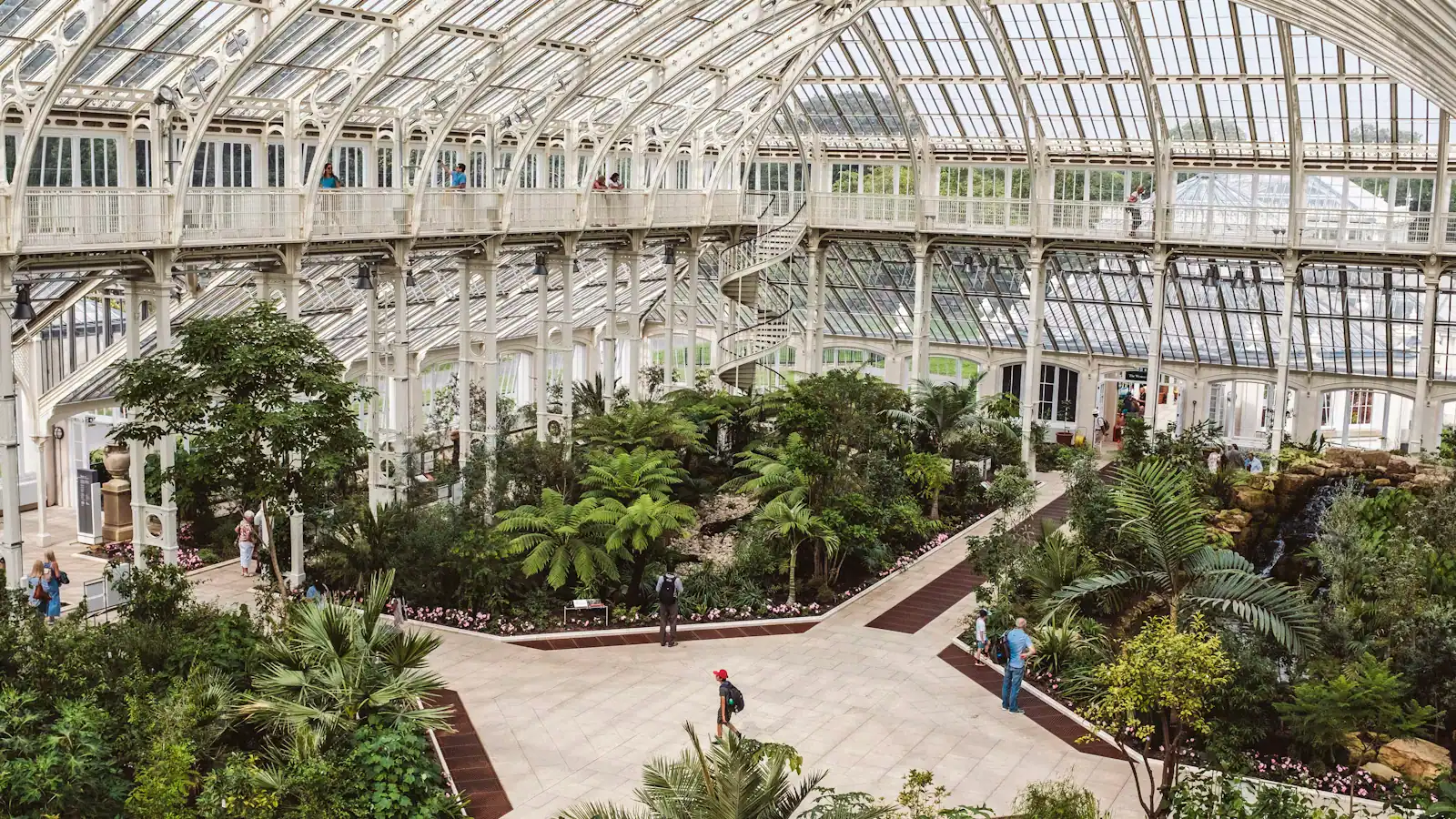 Tropical planting under the white steel frame and glass roof of a conservatory